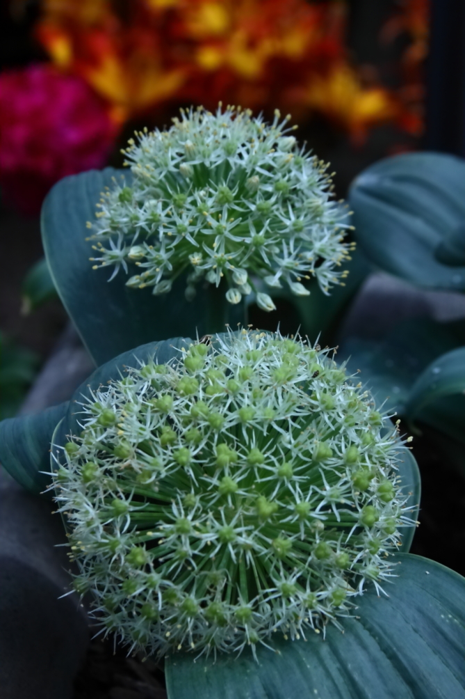 2012 05 25 4384